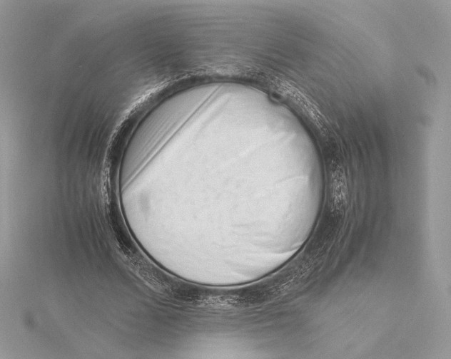 X0000115840680200912041709