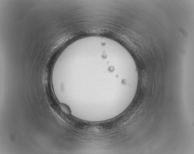 X0000115840683200912041709