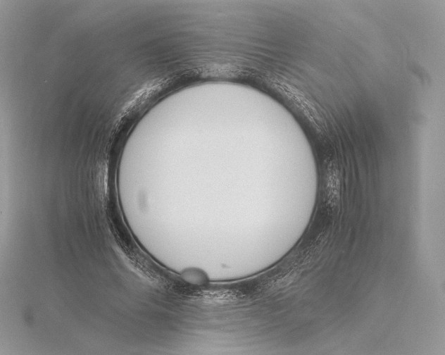 X0000115840686200912041709