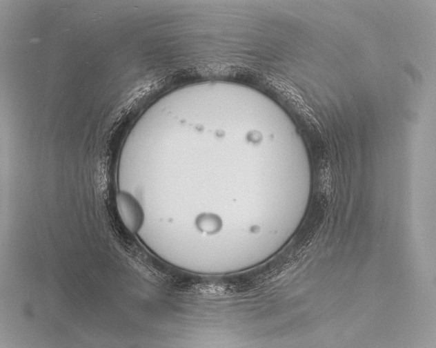 X0000115840687200912041709