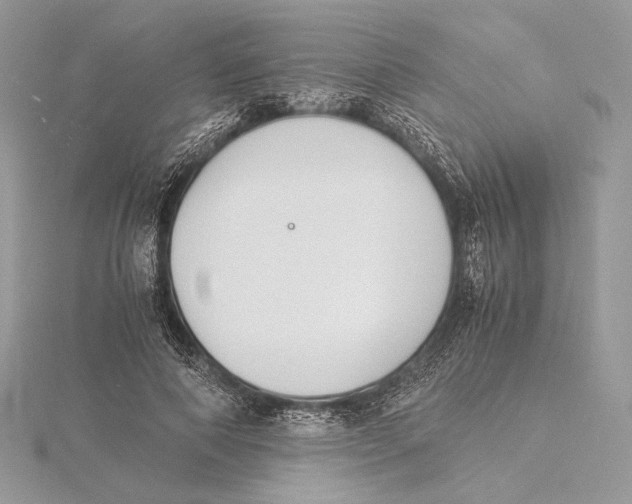 X0000115840690200912041709