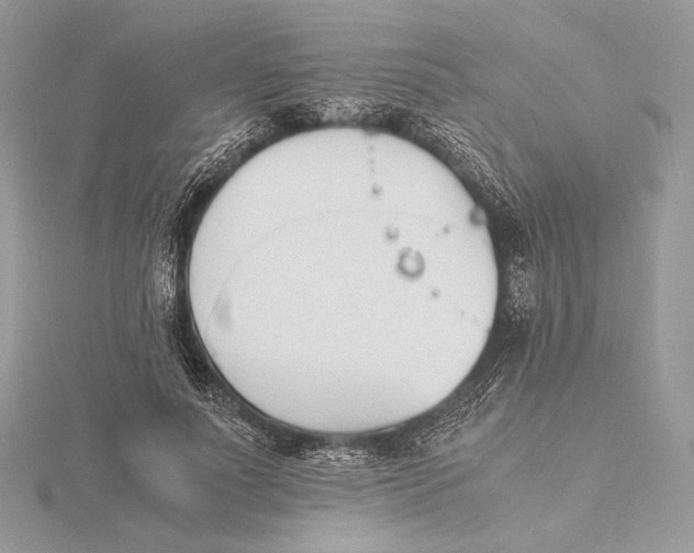 X0000115840691200912041709