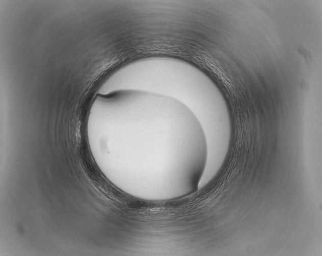 X0000115840692200912041709