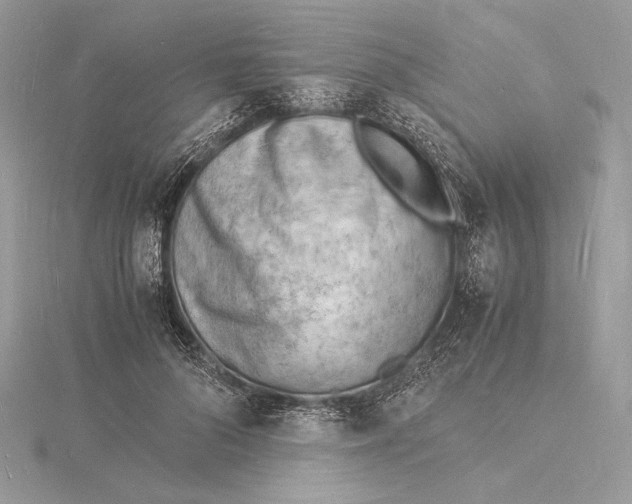 X0000115840696200912041708