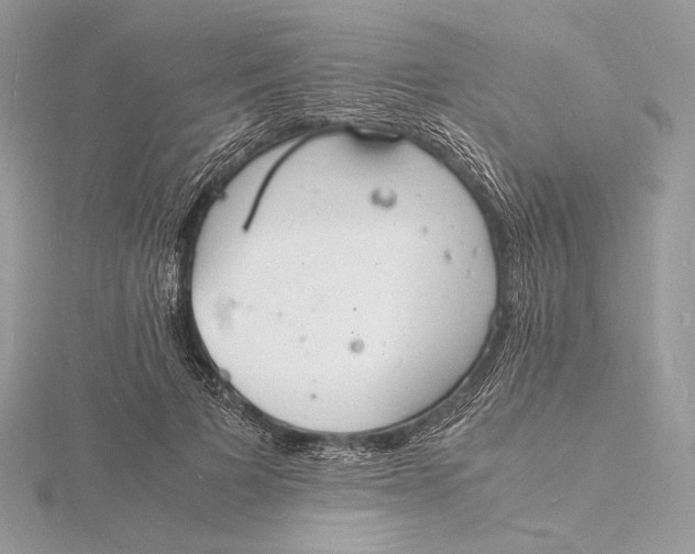 X0000115840697200912041708