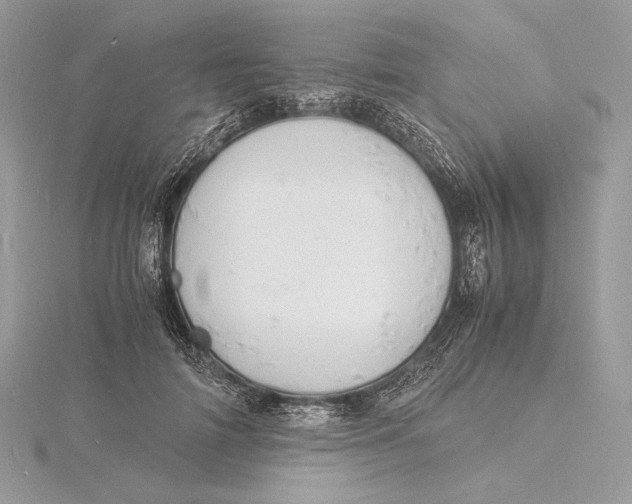 X0000115840698200912041708