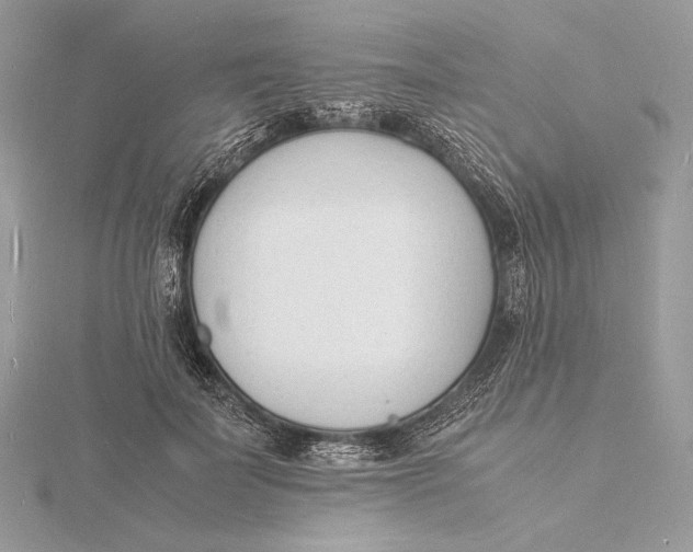 X0000115840699200912041708