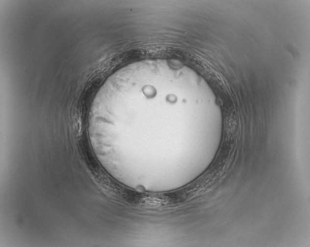 X0000115840703200912041708