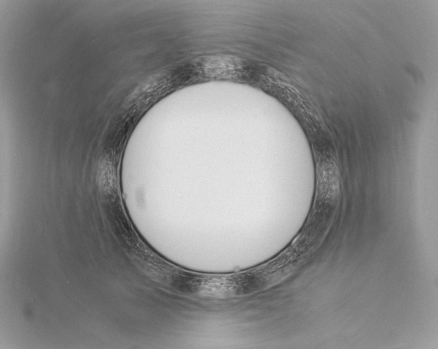 X0000115840705200912041708