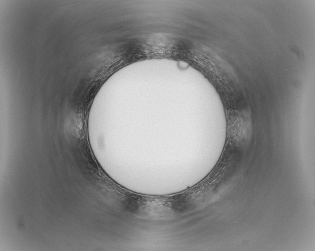 X0000115840709200912041708