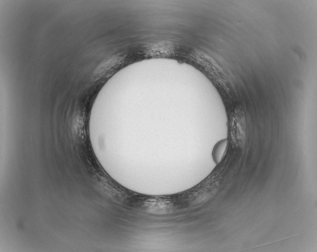 X0000115840714200912041708