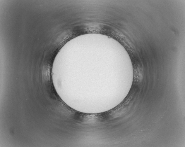 X0000115840717200912041708