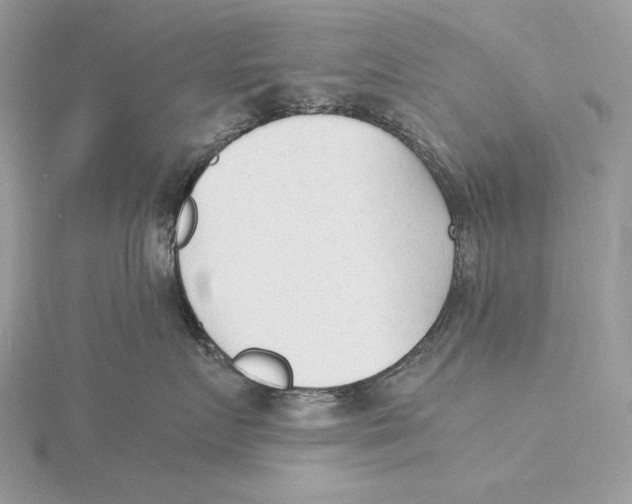 X0000115840719200912041708