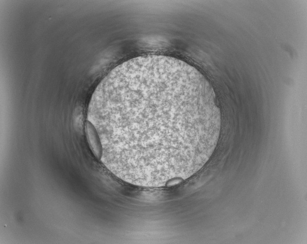 X0000115840720200912041708