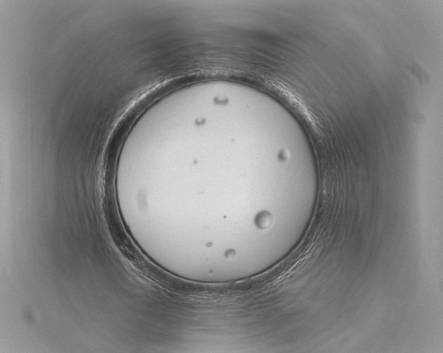 X0000115840722200912041708