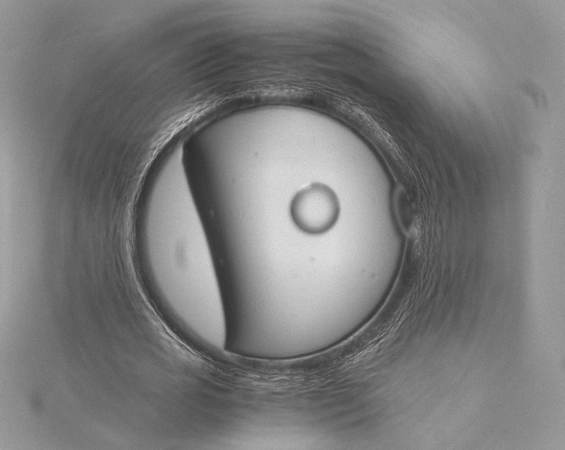 X0000115840725200912041708