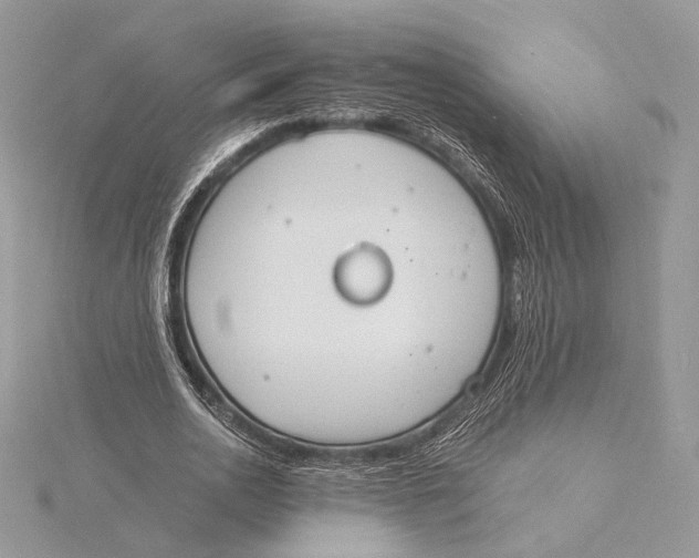 X0000115840726200912041708