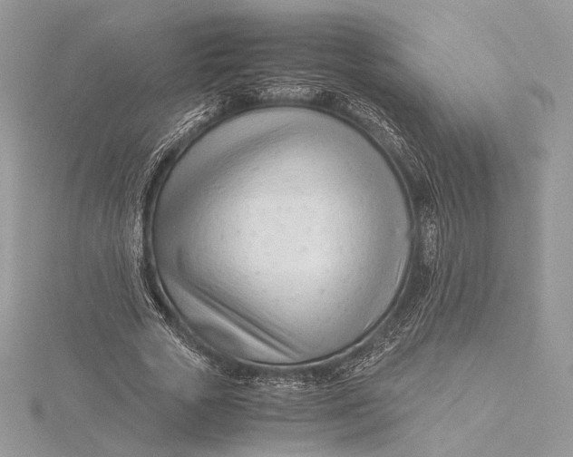 X0000115840729200912041708