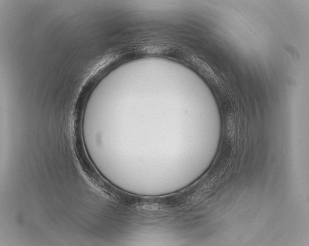 X0000115840730200912041708