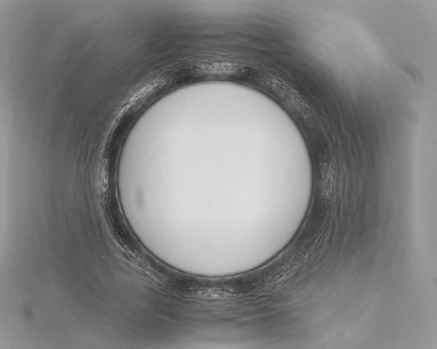 X0000115840731200912041708