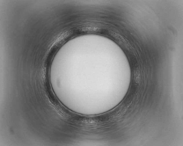 X0000115840735200912041708