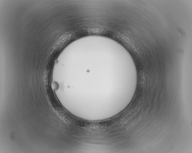 X0000115840738200912041708