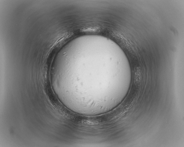 X0000115840739200912041708