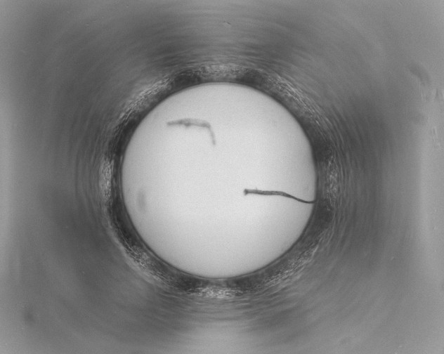 X0000115840742200912041708