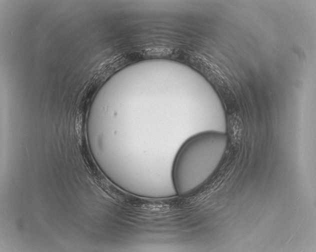 X0000115840745200912041708