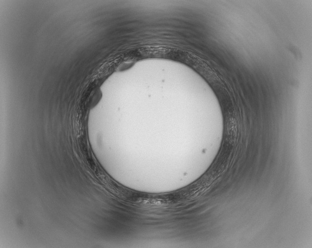 X0000115840751200912041708