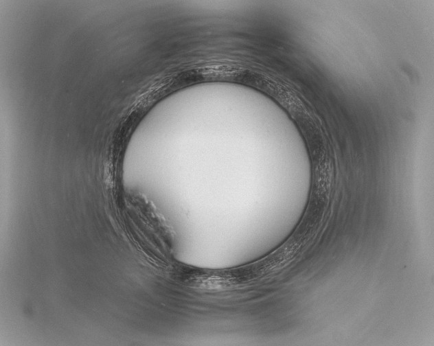 X0000115840755200912041708