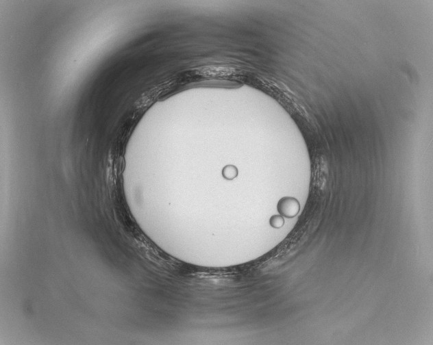 X0000115840763200912041708