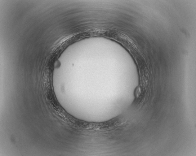 X0000115840773200912041707