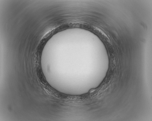 X0000115840775200912041707