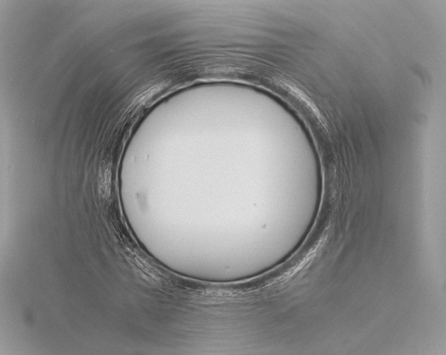 X0000115840777200912041707