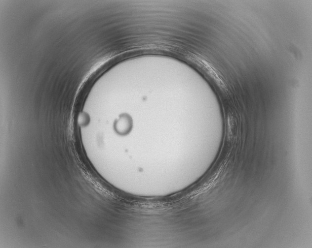 X0000115840780200912041707