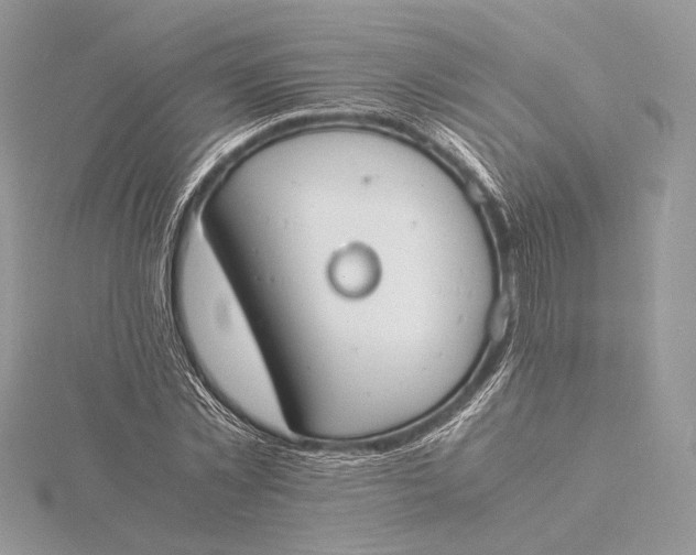 X0000115840781200912041707