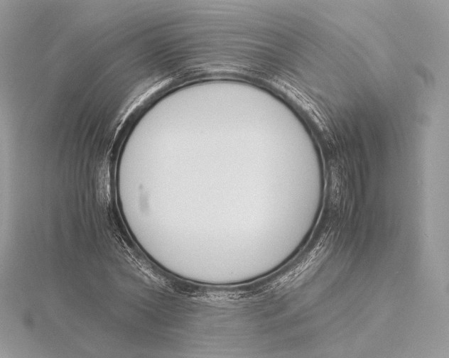 X0000115840782200912041707