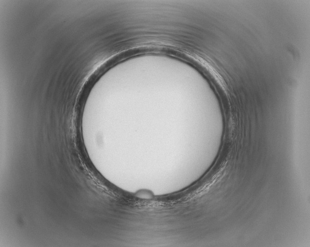 X0000115840783200912041707