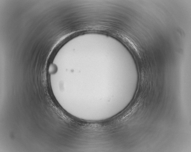 X0000115840784200912041707