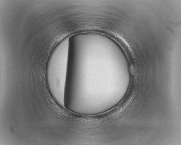 X0000115840785200912041707