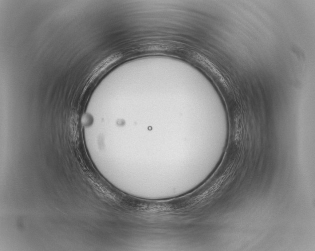 X0000115840786200912041707