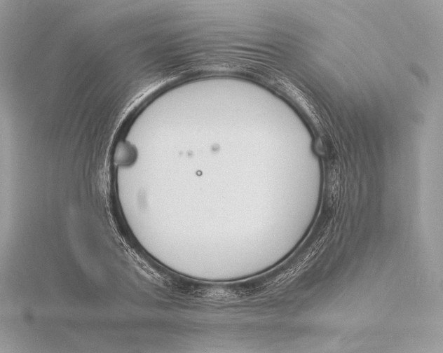 X0000115840787200912041707