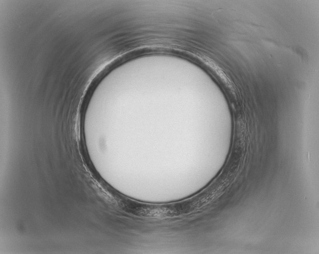 X0000115840791200912041707