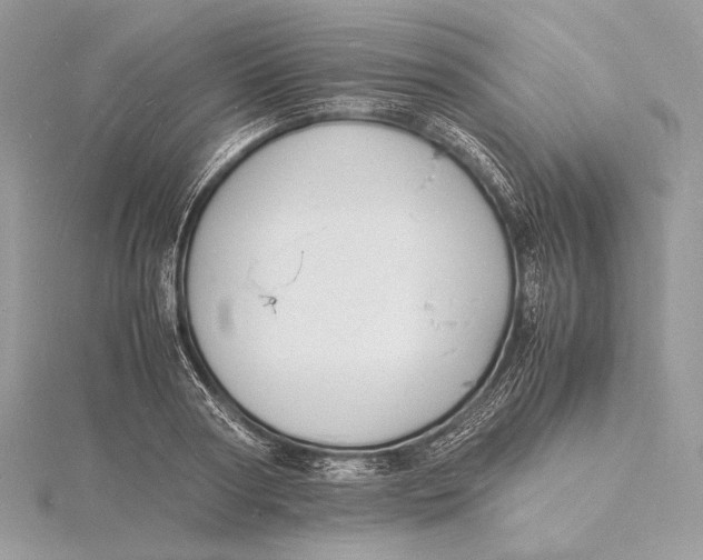 X0000115840794200912041707