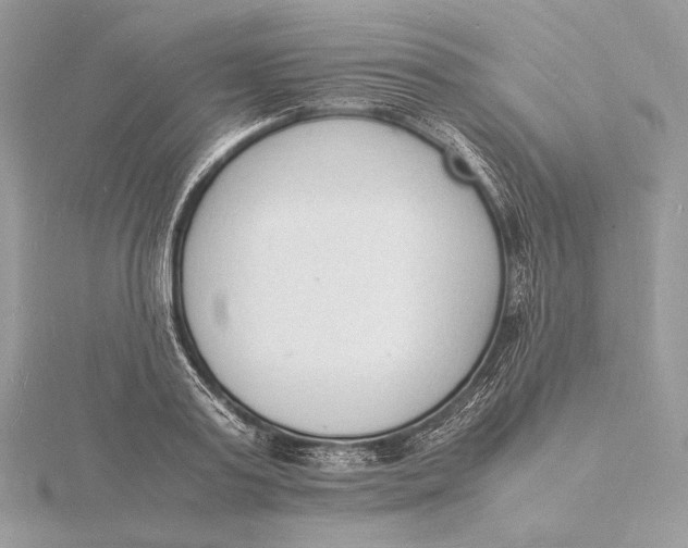 X0000115840795200912041707