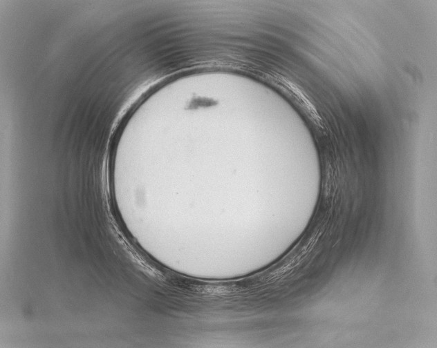 X0000115840796200912041707