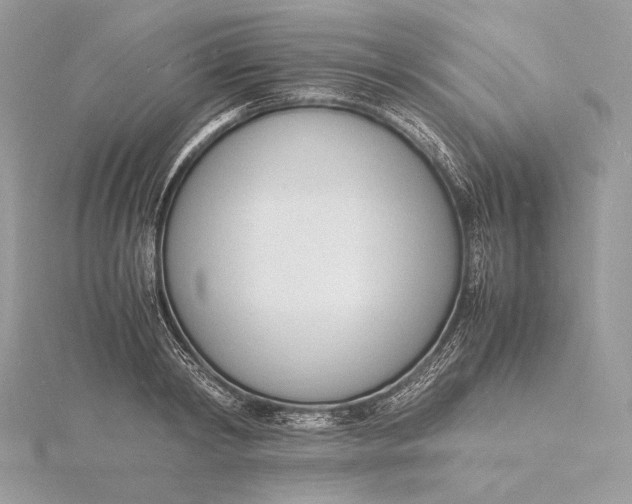 X0000115840798200912041707