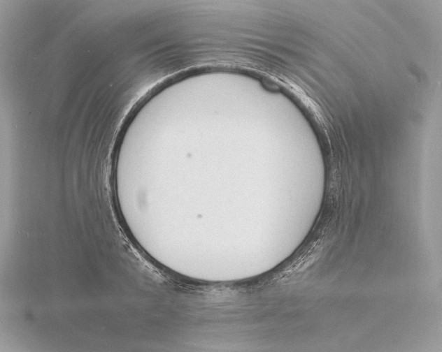 X0000115840799200912041707