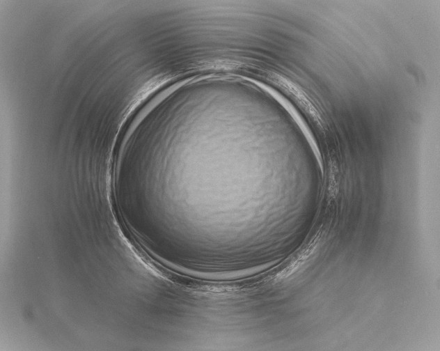 X0000115840802200912041707